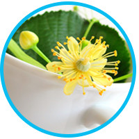 get-rid-of-dandruff-tea-tree