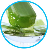 organic-shampoo-for-dandruff