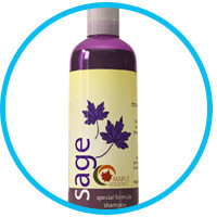 organic-shampoo-for-dandruff