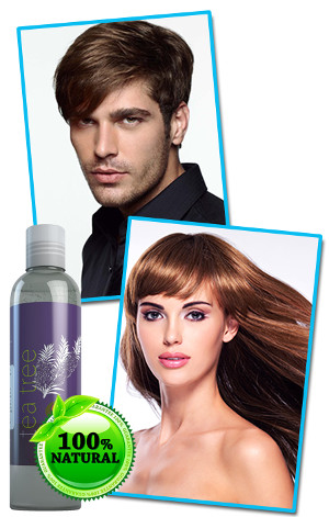 maple-holistics-tea-tree-oil-shampoo